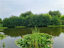 auzouville-sur-ry (8)